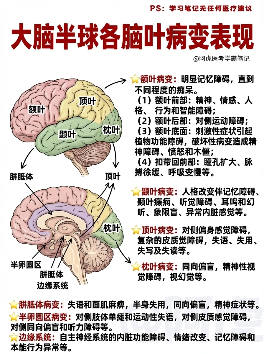 阿虎医考笔记📝大大脑半球各脑叶病变表现