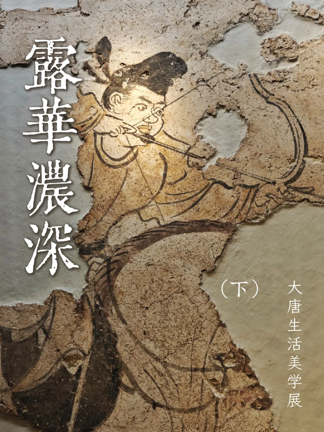 露华浓深｜奉博大唐生活美学大展图集（下）