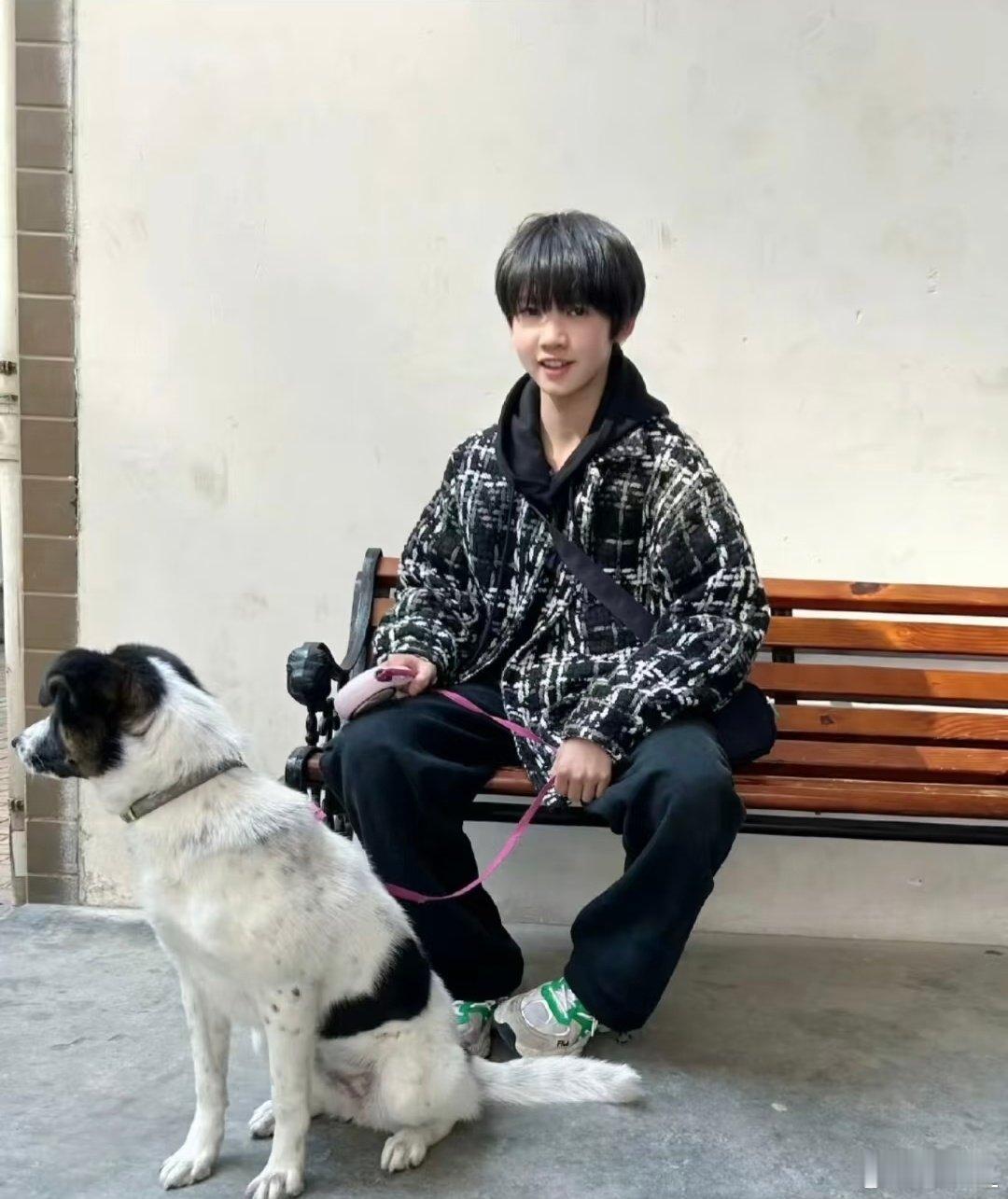 #偶遇张奕然拍物料#张奕然去拍摄的这个地方是为救助流浪小动物建立的公益园区呀
他一直都在用行动善待小动物 在车库捡到流浪小猫咖啡 主动带回家里照料 小时候把小狗小呆带回家 给流浪的小动物们一个安稳的家 他一直都是一个很善良的男孩 ​