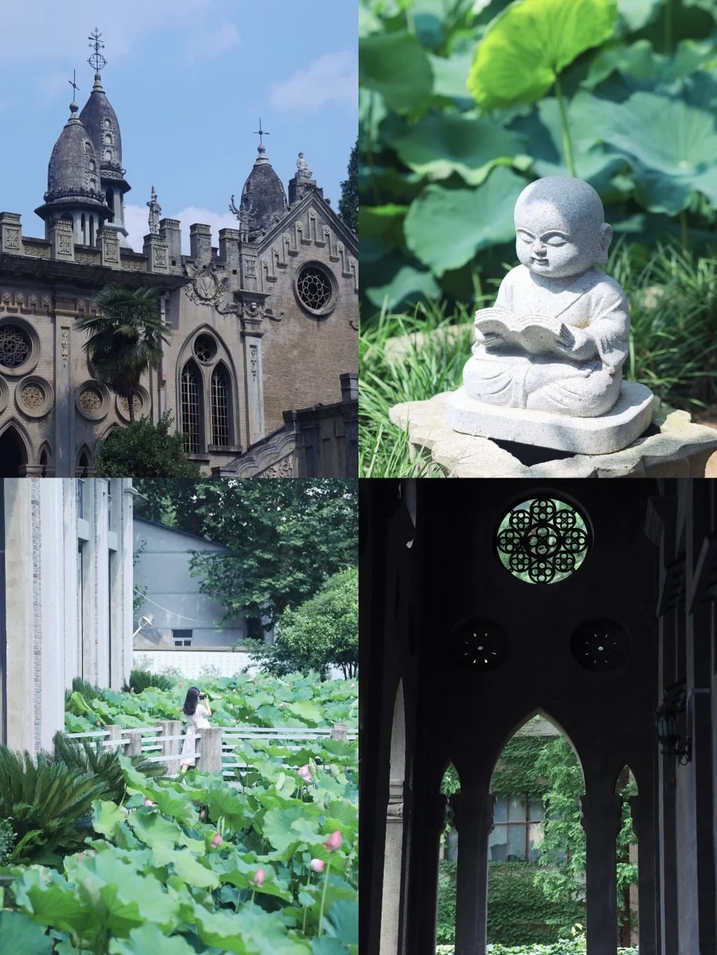 武汉夏日避暑拍照地❗️百年寺庙赏荷花