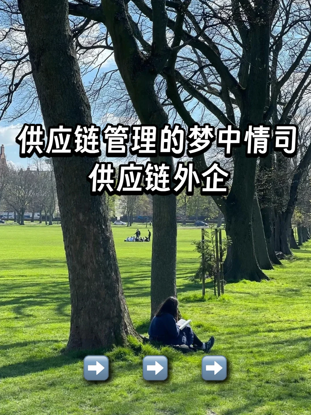 供应链管理的梦中情司：供应链外企