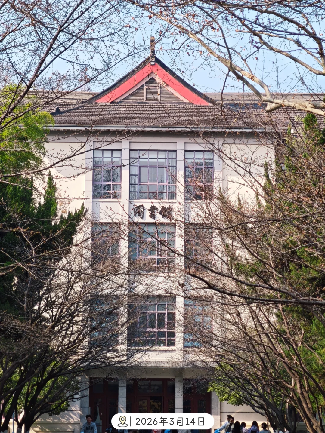 🌸3.14实况｜南京林业大学即将进入樱花季