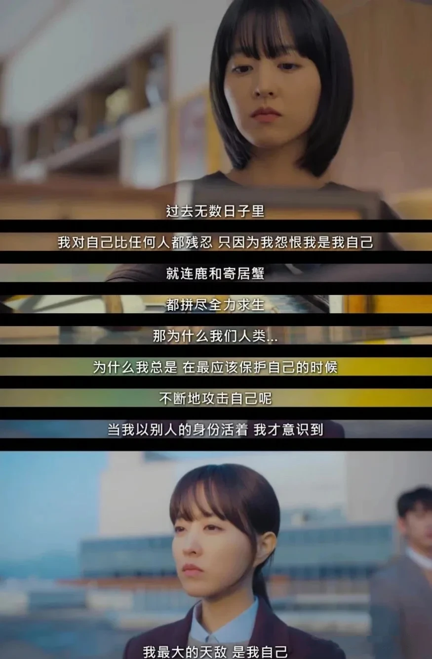 韩剧好看就好看在真的在写“人”的故事！！