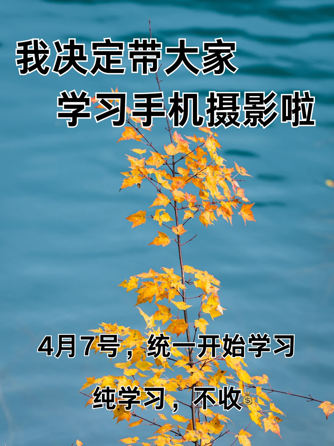 我决定带大家学习手机摄影啦！！