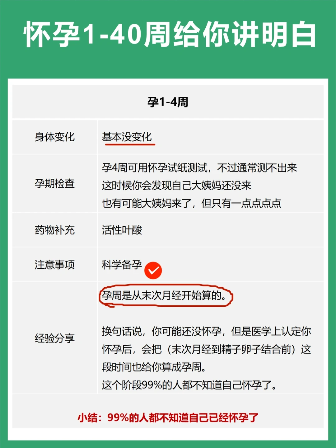 为什么没人把怀孕1-40周的事讲明白？