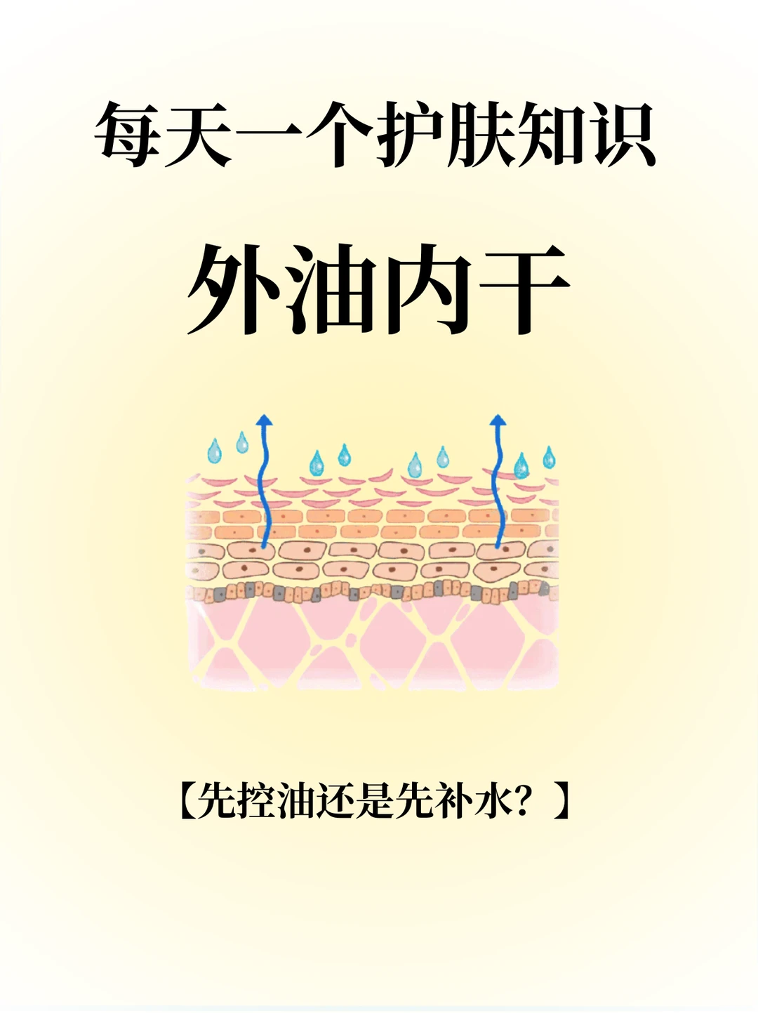 每天一个护肤知识：外油内干