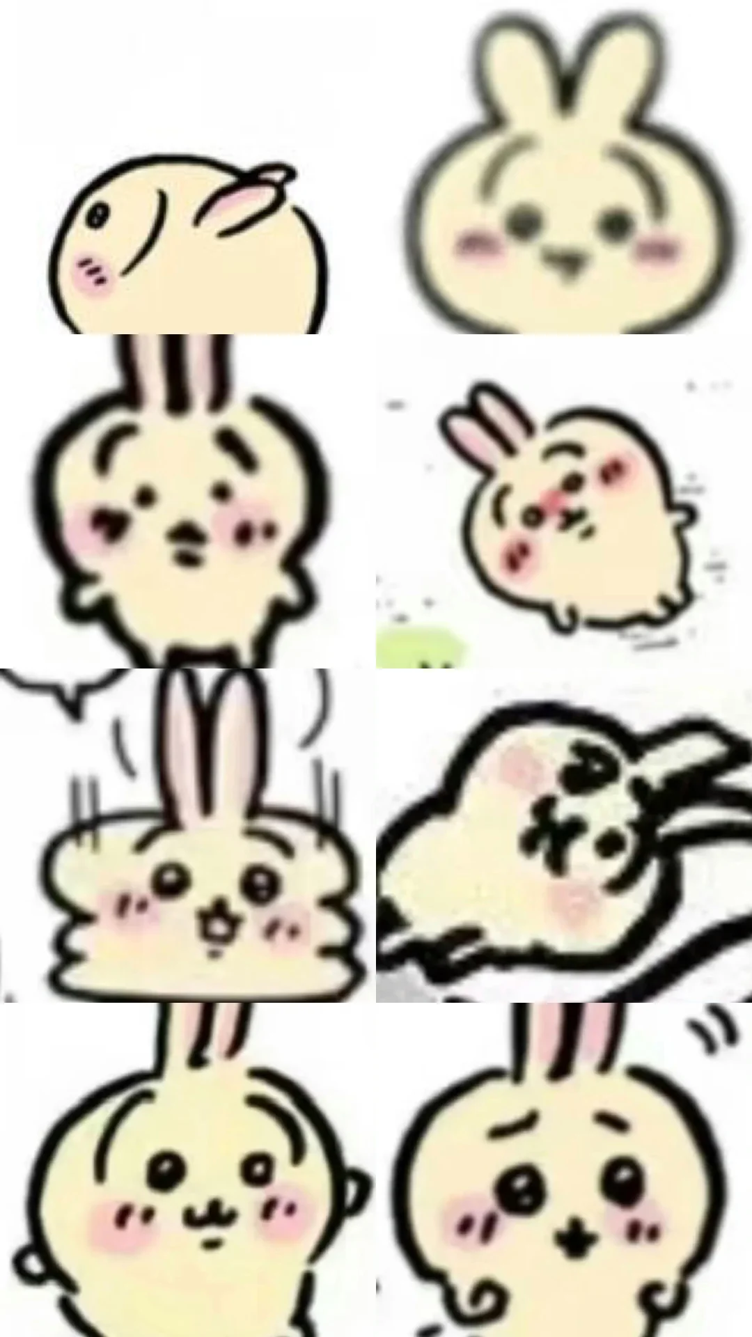 谁懂小糊兔的萌点