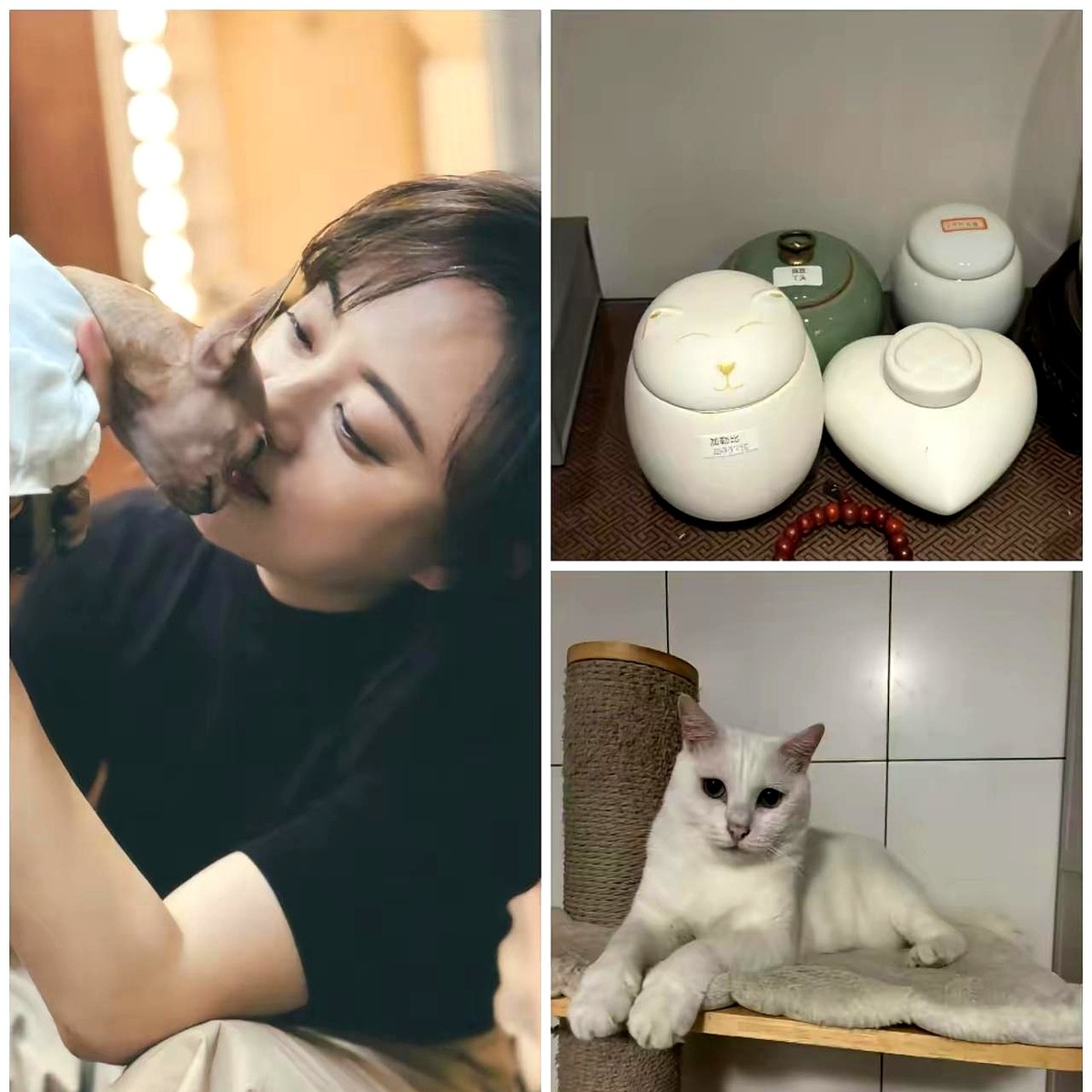 吃着饭，孙俪突然就哭了。

饭桌上音乐瞬间停了，邓超默默递过来一杯热水，谁也没多问。就这么静静陪着。

原来，是养了五年的猫“加勒比”走了。一只从流浪时就跟着她的猫，病重时撑了45天，连叫声都发不出，只能用尾巴尖回应她。

女儿小花问：“妈妈，我还是想哭怎么办？”孙俪说，想哭就哭吧。家里已经有四个宠