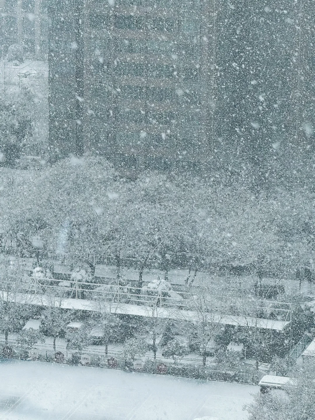 陕西这4天经历了四季？