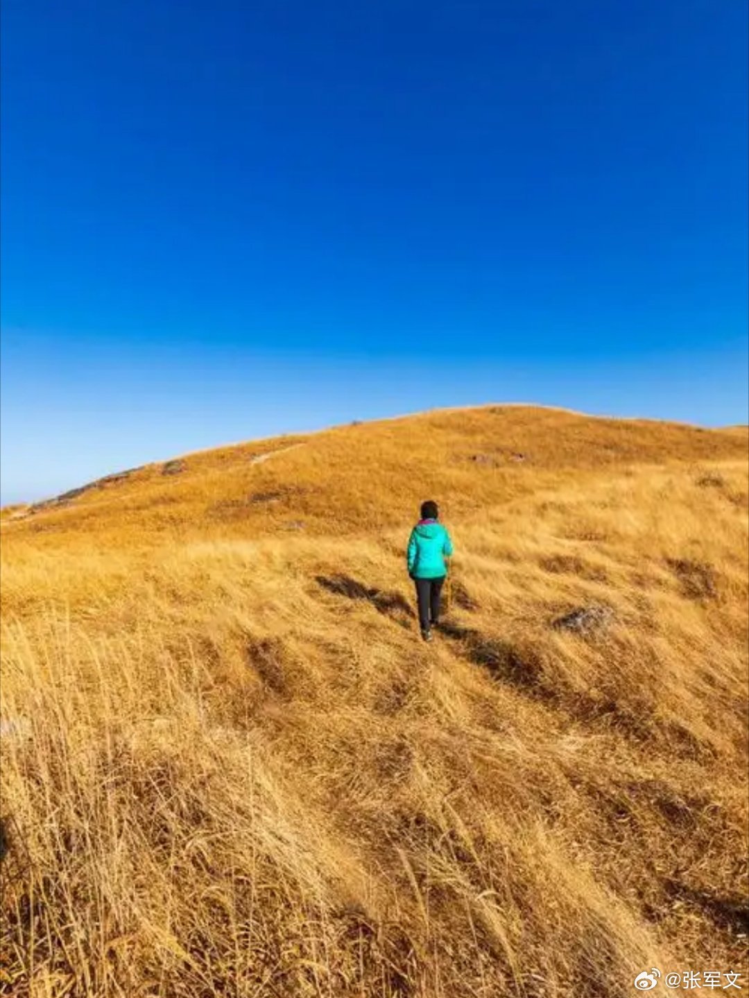 稻城亚丁这起悲剧，让“救援费该不该付”成了舆论焦点。有人觉得生命至上不该谈钱，有人觉得非法穿越就得买单。其实母亲已经预付了1万，最后实际结算7500元，甚至还想过额外感谢救援队员，网传的“拒付”纯属谣言。

但比费用更值得讨论的，是公共资源的边界。事发地在海拔4600米的未开发禁区，属于明 ​