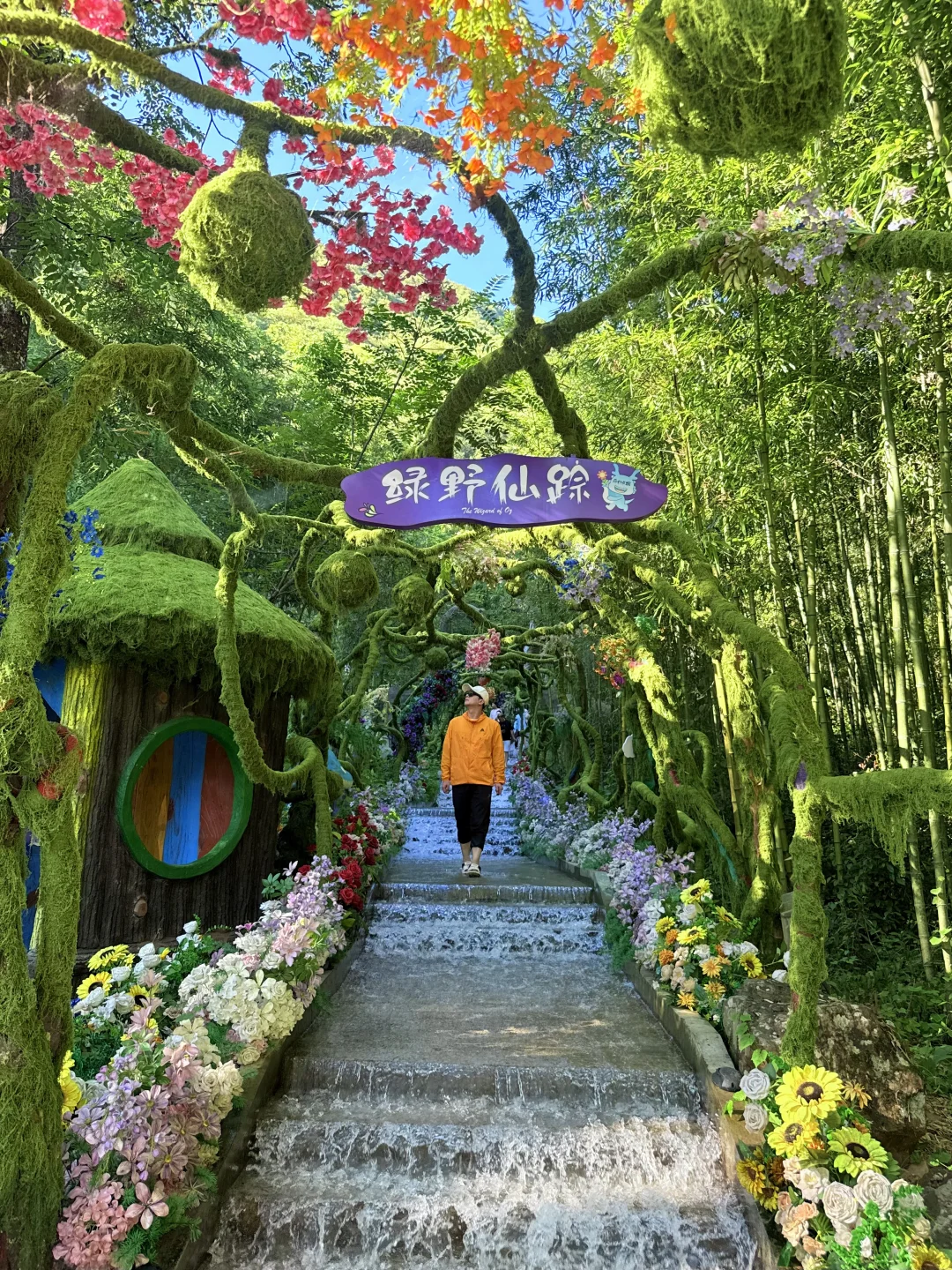 杭州1.5h｜闯入夏日绿野仙踪与山野乐园❗