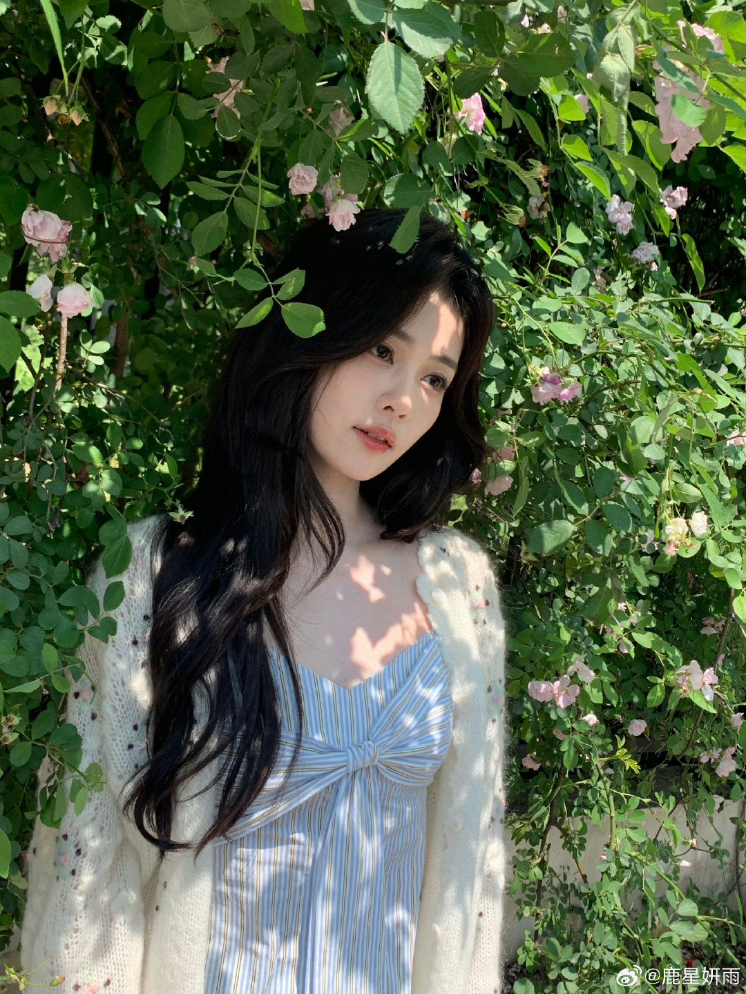 #白鹿[超话]# 🦌#白鹿王韵娜 ﻿# 🦌#白鹿开到荼蘼# 

皎皎兮似轻云之蔽月 飘飘兮若回风之流雪​