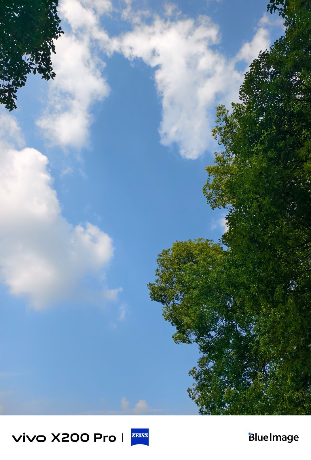 #vivo[超话]# 每一场风景邂逅，都是生活悄悄送来的温柔礼物，值得好好珍惜。 ​