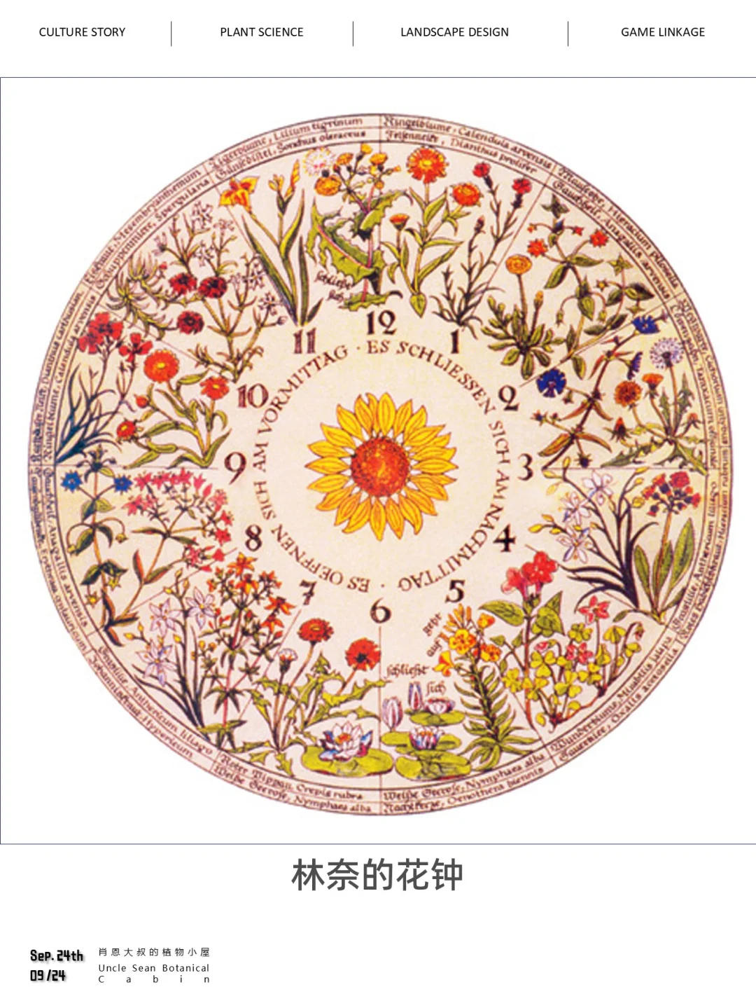 🌸⌛ 18世纪的浪漫科学实验：林奈的花钟