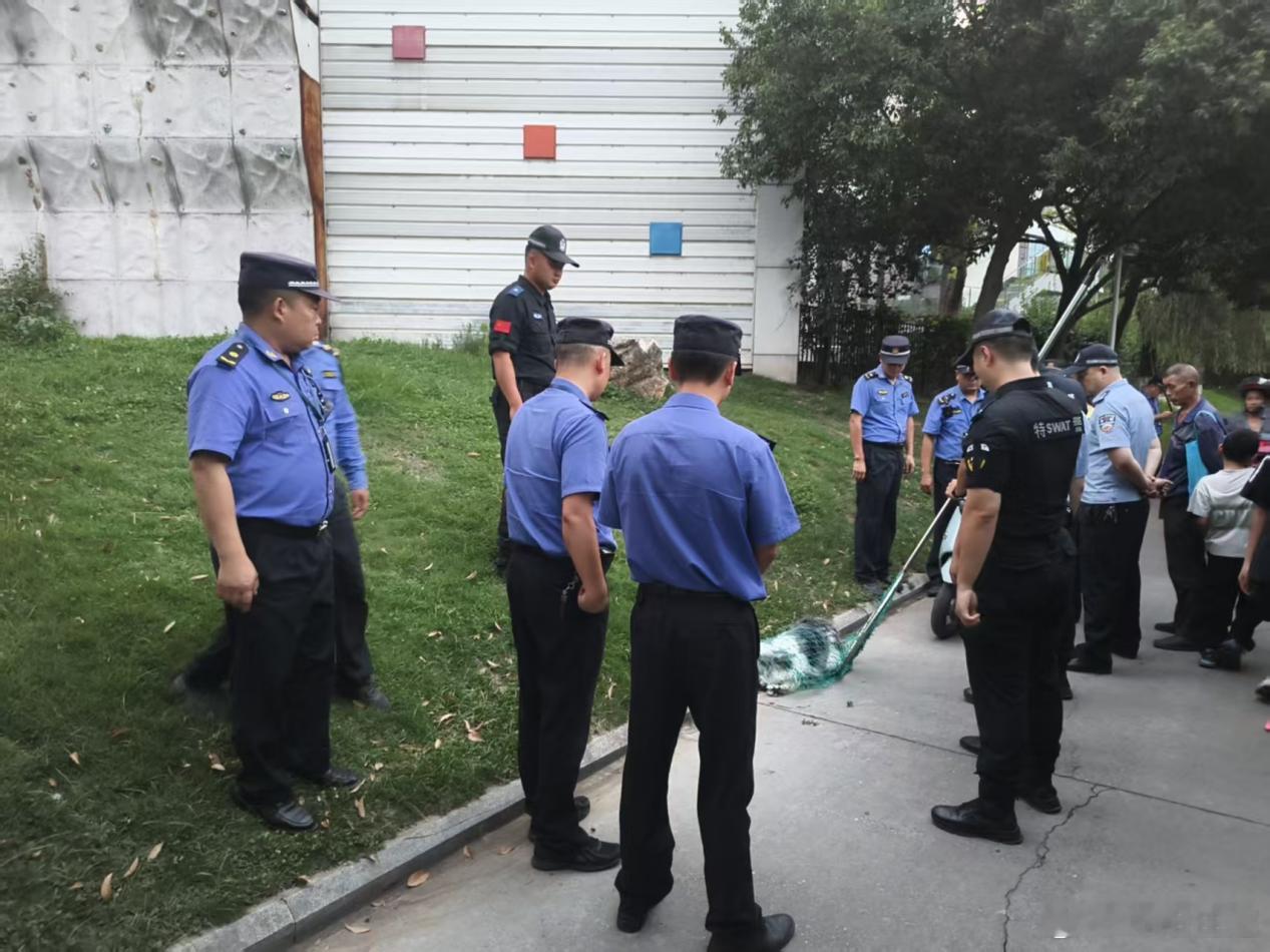 【游仙区综合行政执法局：规范不文明养犬，营造平安和谐环境】
随着市民户外活动日益增多，辖区遛犬行为随之增加，犬只不牵绳、随地便溺、犬只扰民伤人、流浪犬乱窜等问题隐患凸显。近日，游仙区综合行政执法局联合辖区派出所，在科技馆周边开展文明养犬专项整治行动，着力规范辖区养犬管理秩序。

整 ​