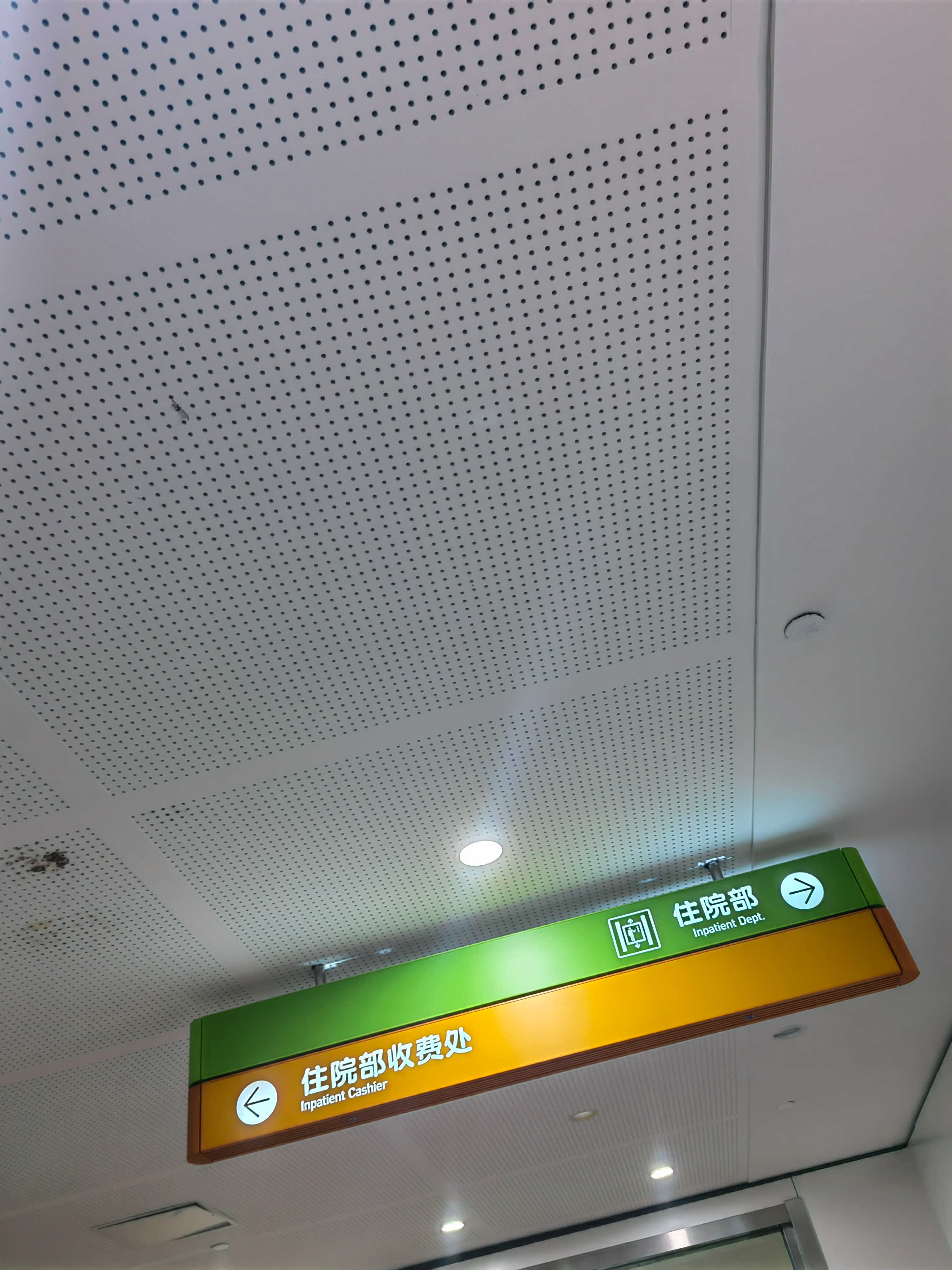 又带小朋友来了，故地重游了属于是。 ​​​