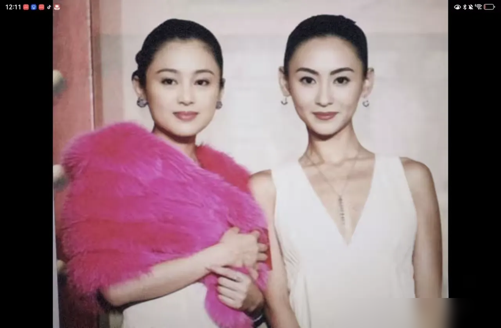 陈红跟章子怡同框，输的从来不是脸。柏林红毯上，章子怡一身蓝黑低胸装配皮草，千万钻饰挂身上，媒体通稿全是落落大方。陈红呢，藕青色旗袍压着一身肉感，肩带被挑刺，身材被说发福。舆论一边倒说陈红逊色。
可你把照片放大看，章子怡是尖刀出鞘的锋利，陈红是沉甸甸压台的气场。一个要赢，一个根本不屑跟你比。福芝芳和