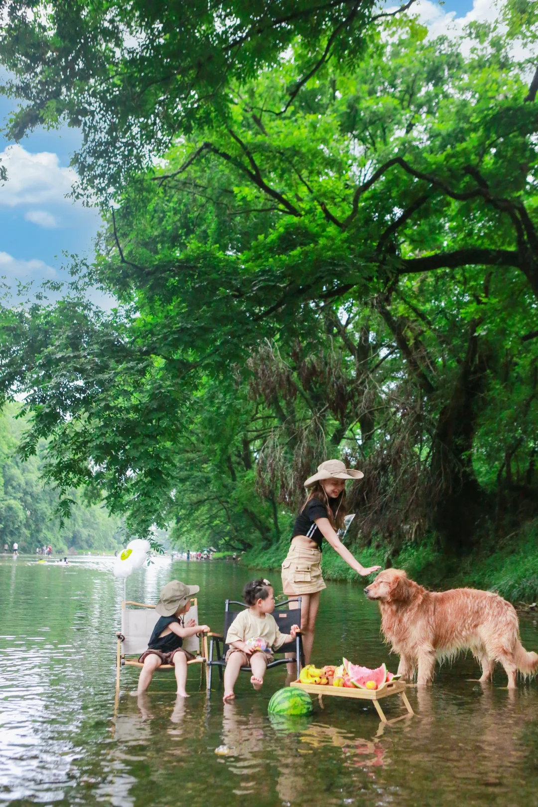 武汉1h树荫下遛娃溯溪🌊螃蟹小龙虾抓不停‼️