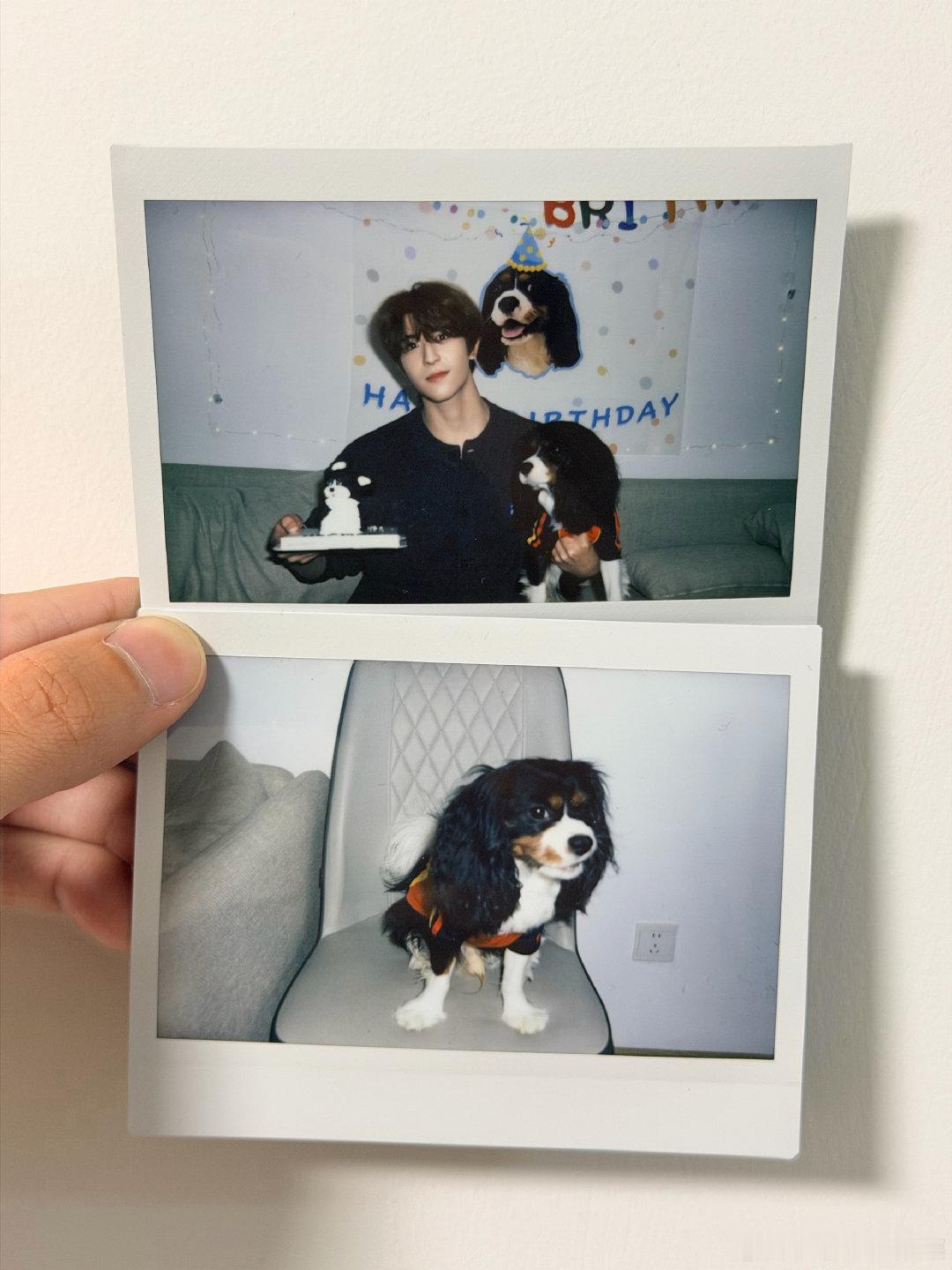 #尹浩宇[超话]# 祝派派的小尼克一岁生日快乐 ​