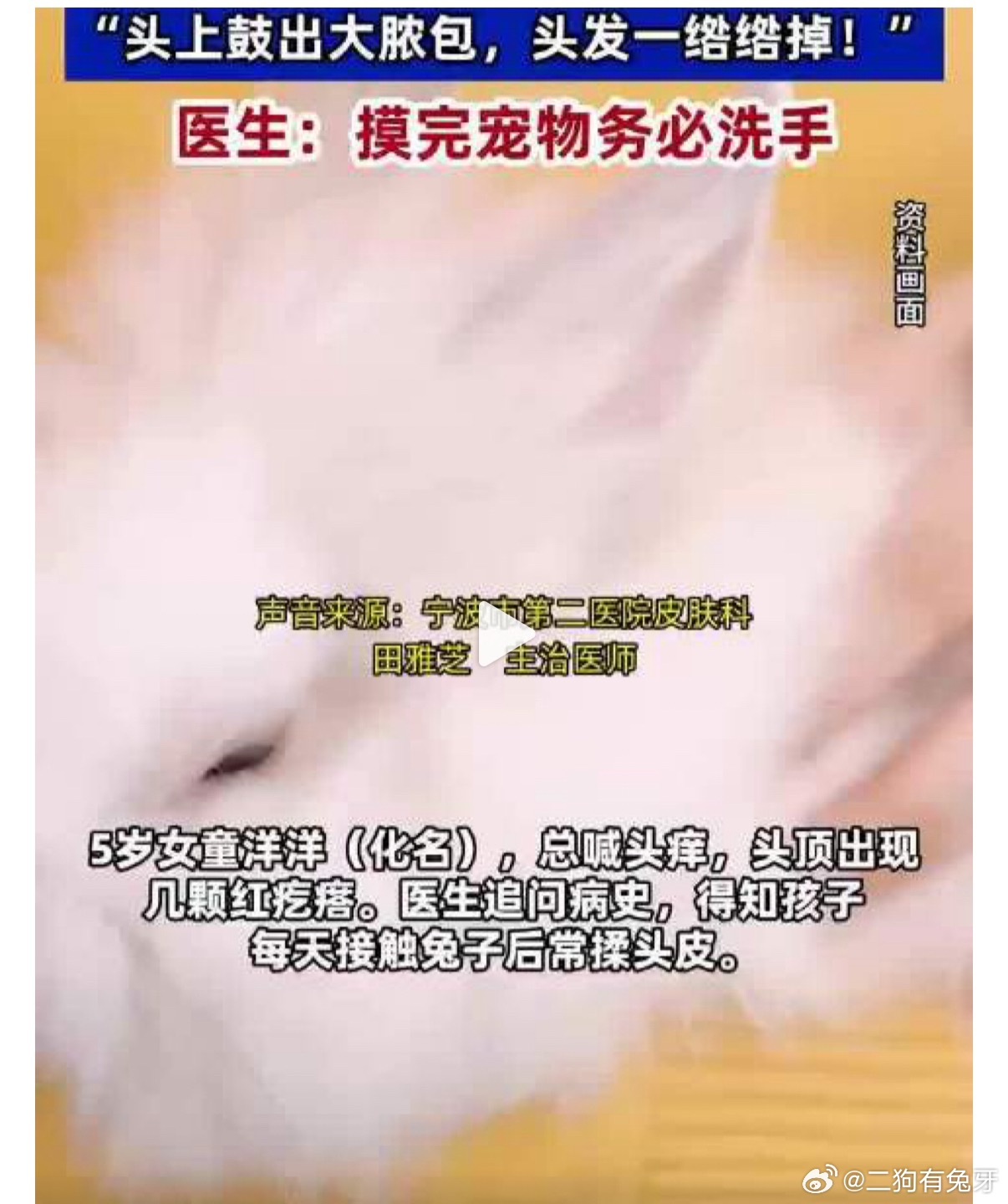 终究还是不注意卫生导致的[握手] 我二姑也在家楼下养了好多兔子，我从来...