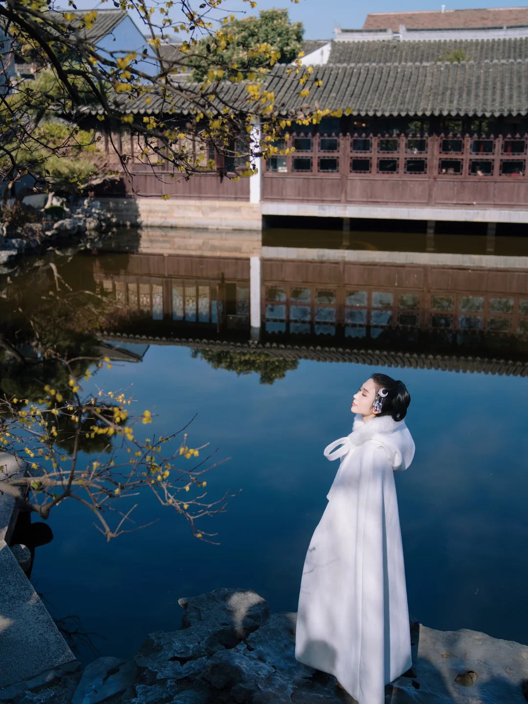 只有见过艺圃的临水腊梅，才算懂得江南的冬