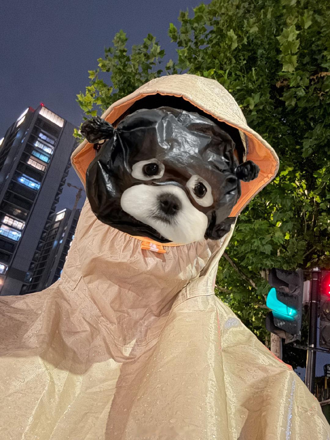 专挑在下班的时候下雨……我骑爱玛不是开宝马[拜拜] ​