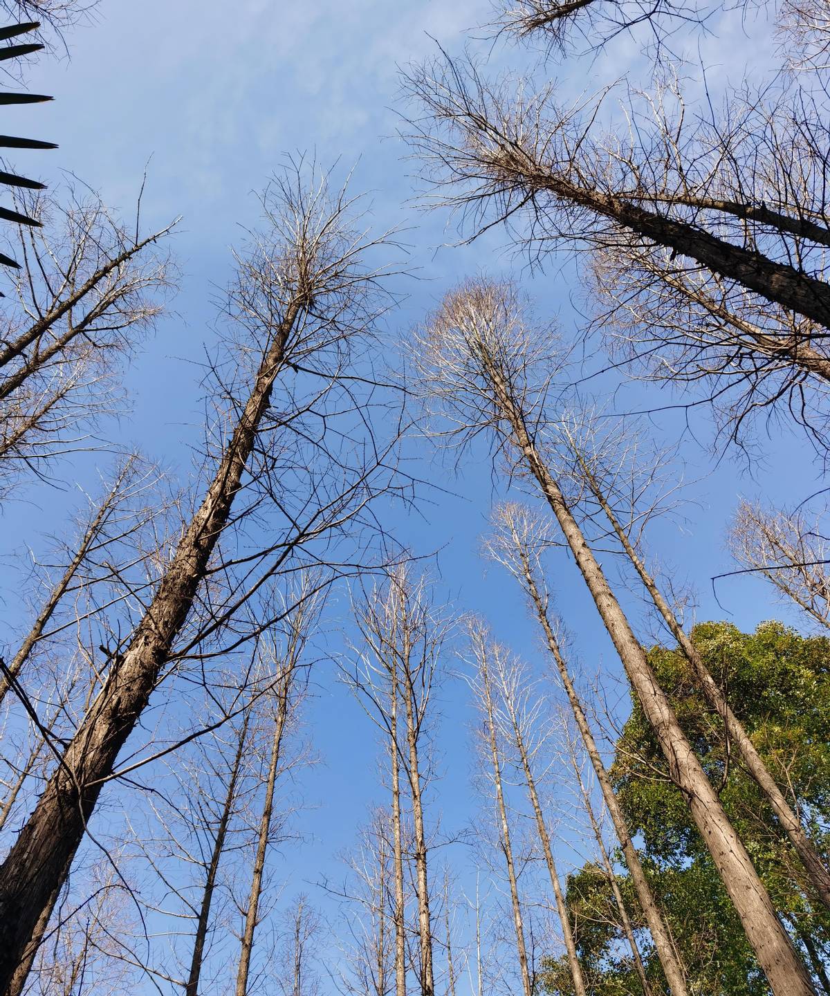 一姑娘拍视频哭诉，说三年恋爱全靠男友养着，她全职考编，口头承诺上岸就嫁...