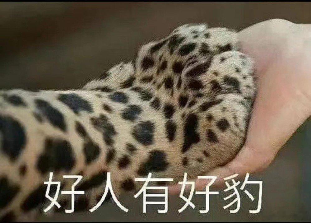 老大，你给我的阵容码扫出来怎么是美团骑手的入职申请页面啊

#超话创作官# ​