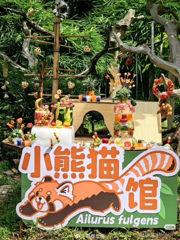 广州动物园小熊猫生日会：<br />精致的西瓜蛋糕、冬瓜蛋糕，还刻了小...