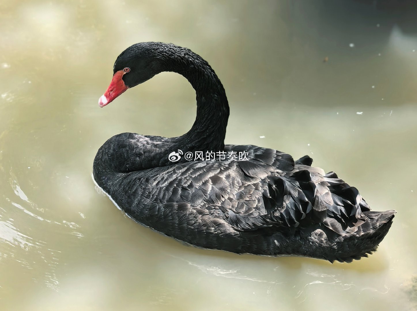 #华为MateBookProS防窥版开售#

我现在用的华为手机，是贴的防窥膜（当时华为维修点说高透膜没有现货）。

这防窥膜还是有点用的，不过也防了自己，特别是横屏拍照的时候，如果要探出去拍，看不清屏幕，几乎需要盲拍。 ​