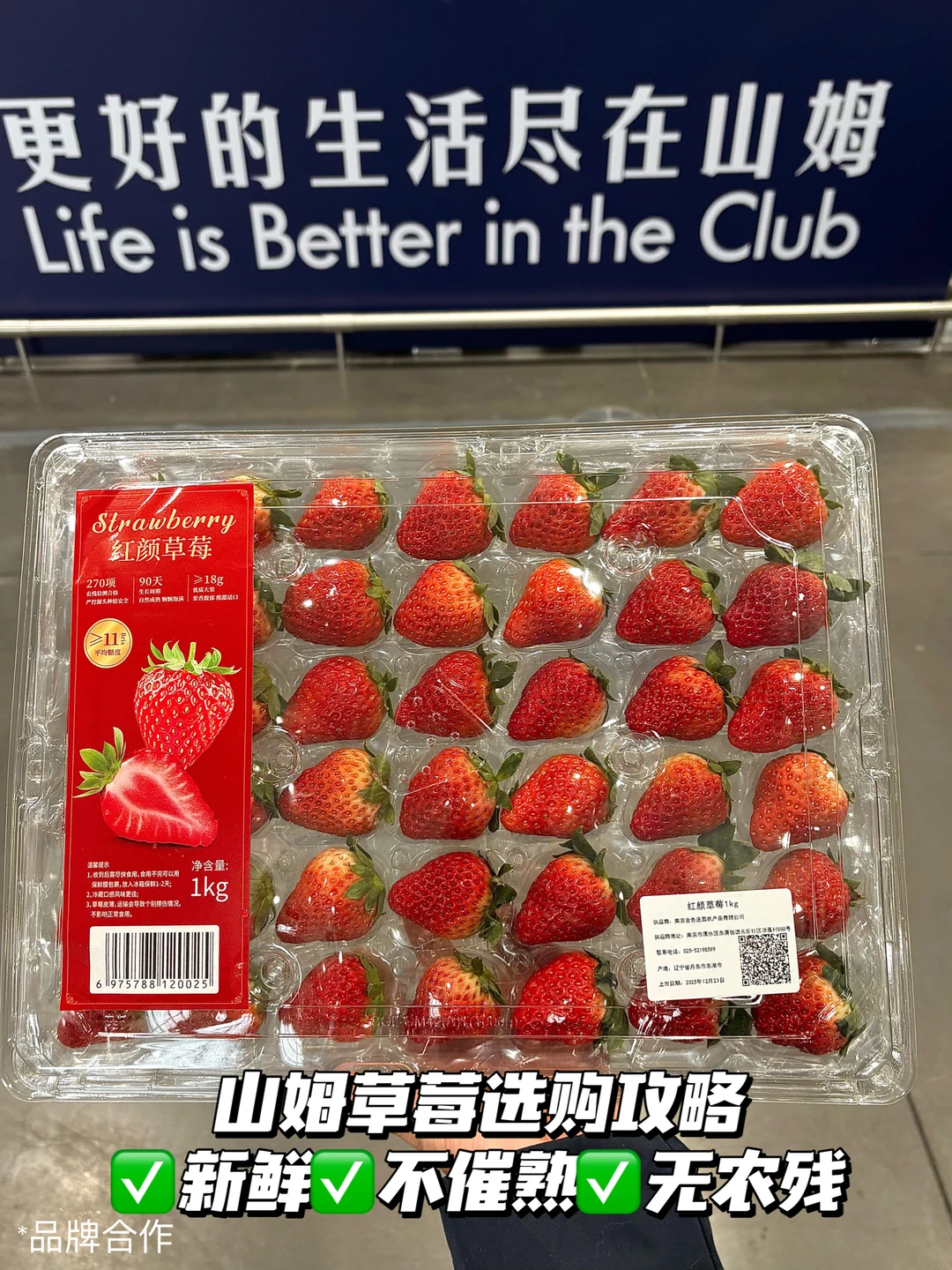 感谢山姆🙏吃上人生草莓了！！！🍓