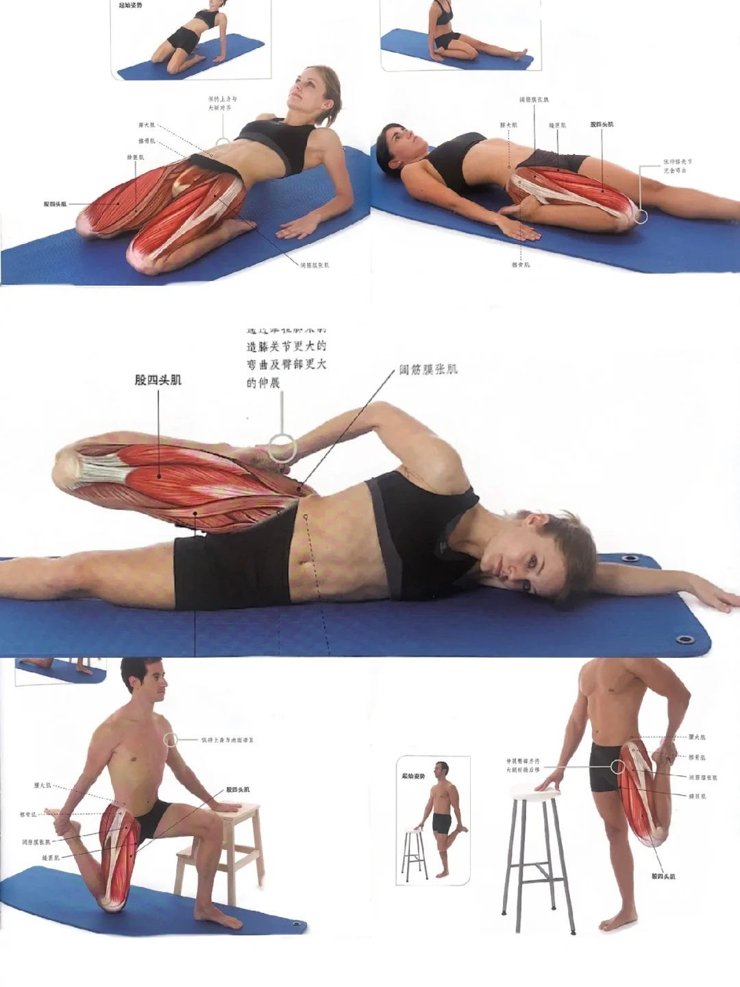 5个大腿前侧拉伸，告别腿部紧张疲劳👍🏻👌🏻