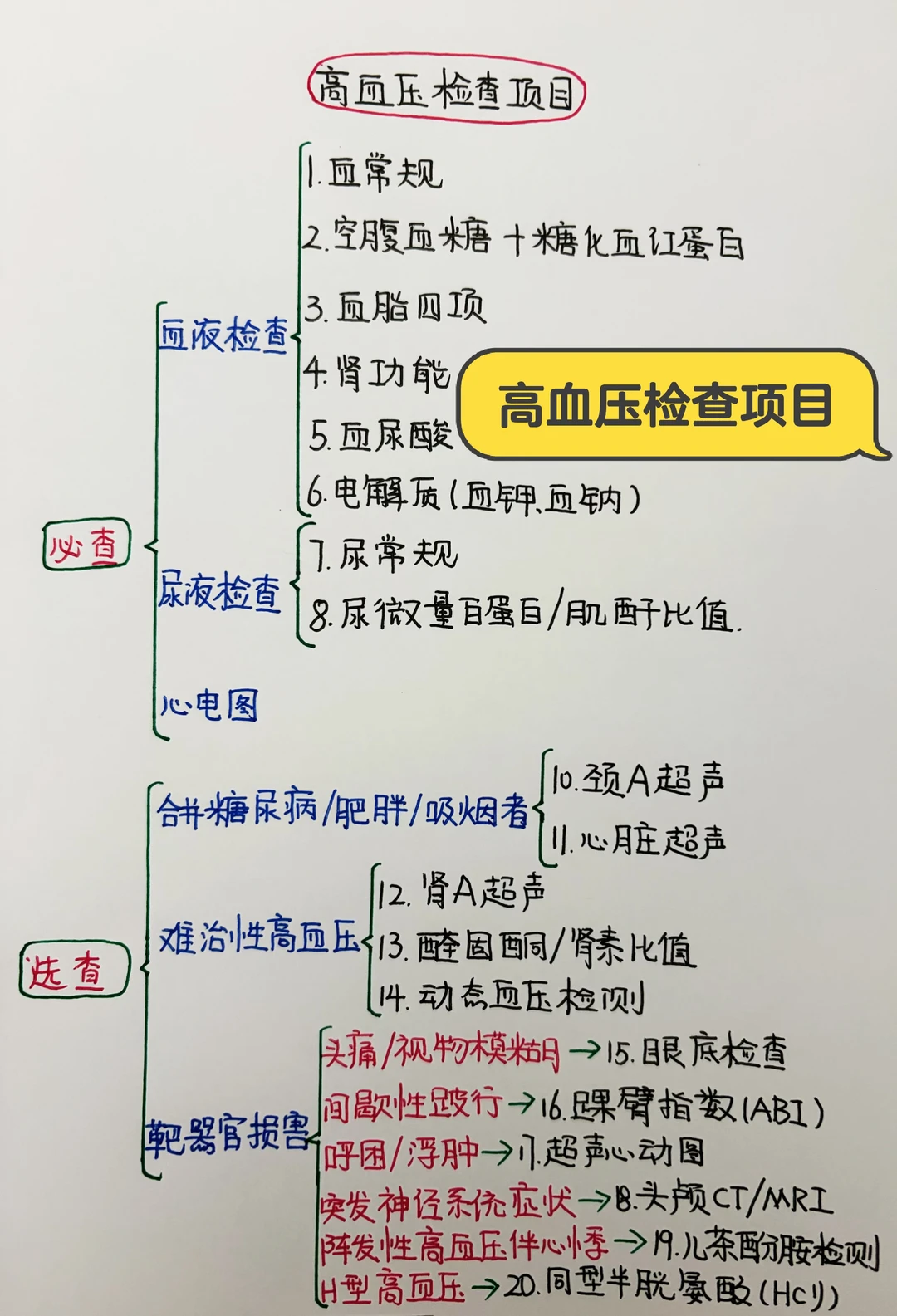 今日学习打卡——高血压检查查项目