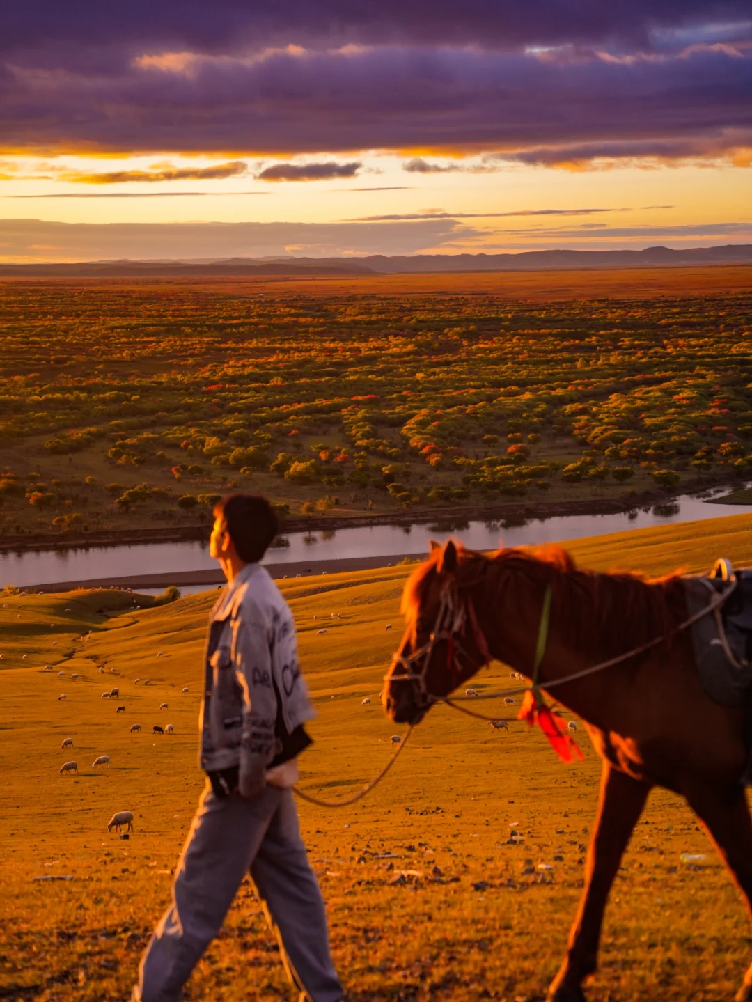 救命‼️呼伦贝尔竟然还有这种日落美景