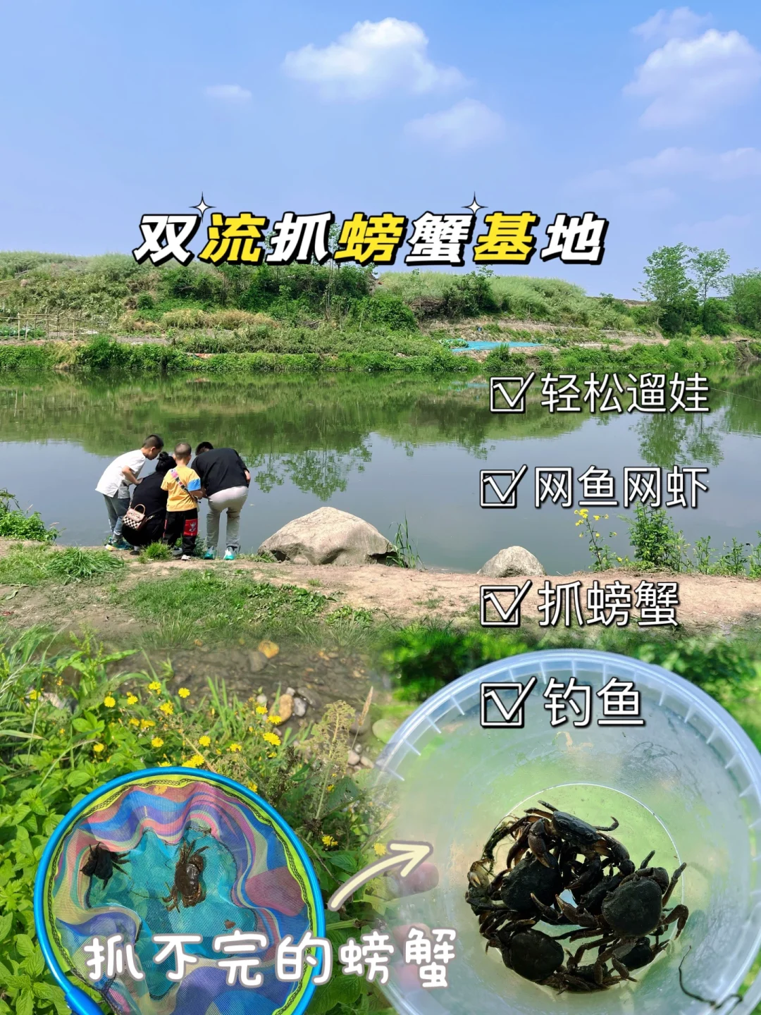 南门出发40min‼️双流抓不完的螃蟹🦀🐢🦞