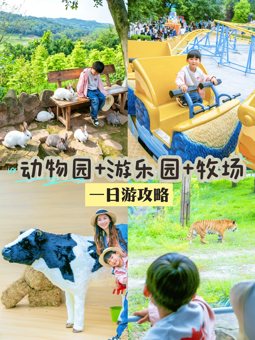 五一不要放过它❗️游乐园+牧场+动物园太好玩