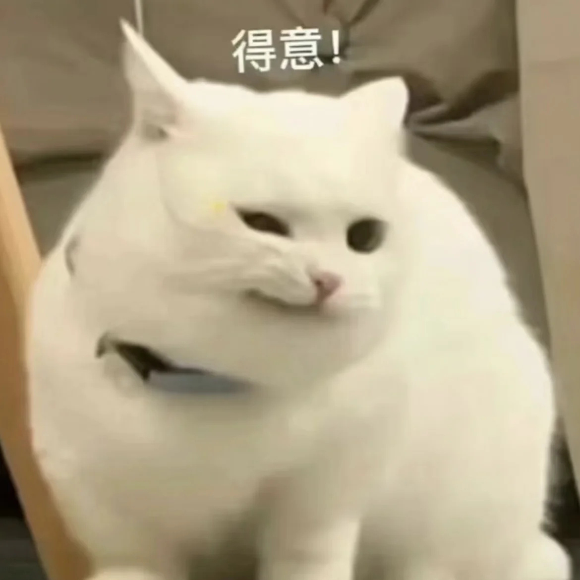 有趣好玩的新表情包来啦！
