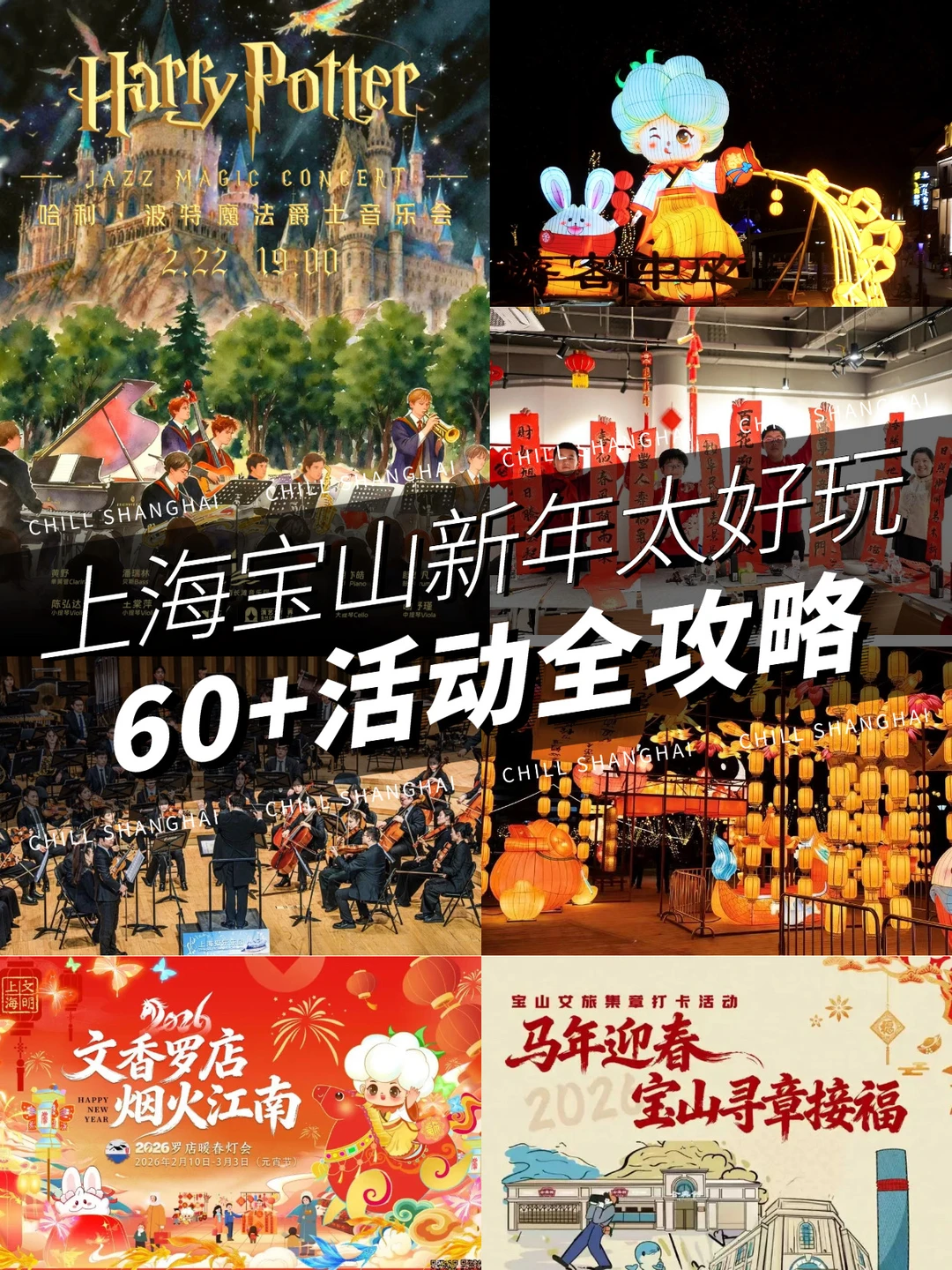 上海人今年过年冲宝山❗️保姆级攻略收好！