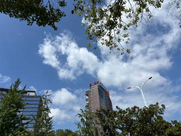 连续两个晚上失眠<br />大概就睡着了个把小时<br />六点多便起...