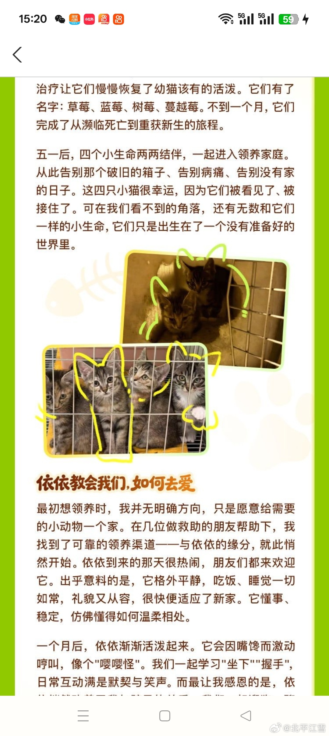 #领养代替购买##领养代替购买[超话]##猫[超话]##流浪狗[超话]##关爱流浪狗[超话]##流浪猫救助[超话]##狗狗[超话]##猫咪领养[超话]##流浪猫救助[超话]##猫咪[超话]#支付宝蚂蚁庄园免费喂养小鸡免费捐蛋救助千千万万流浪狗流浪猫，你都举手之劳就可以改变它们悲惨的命运。全程免费 ​