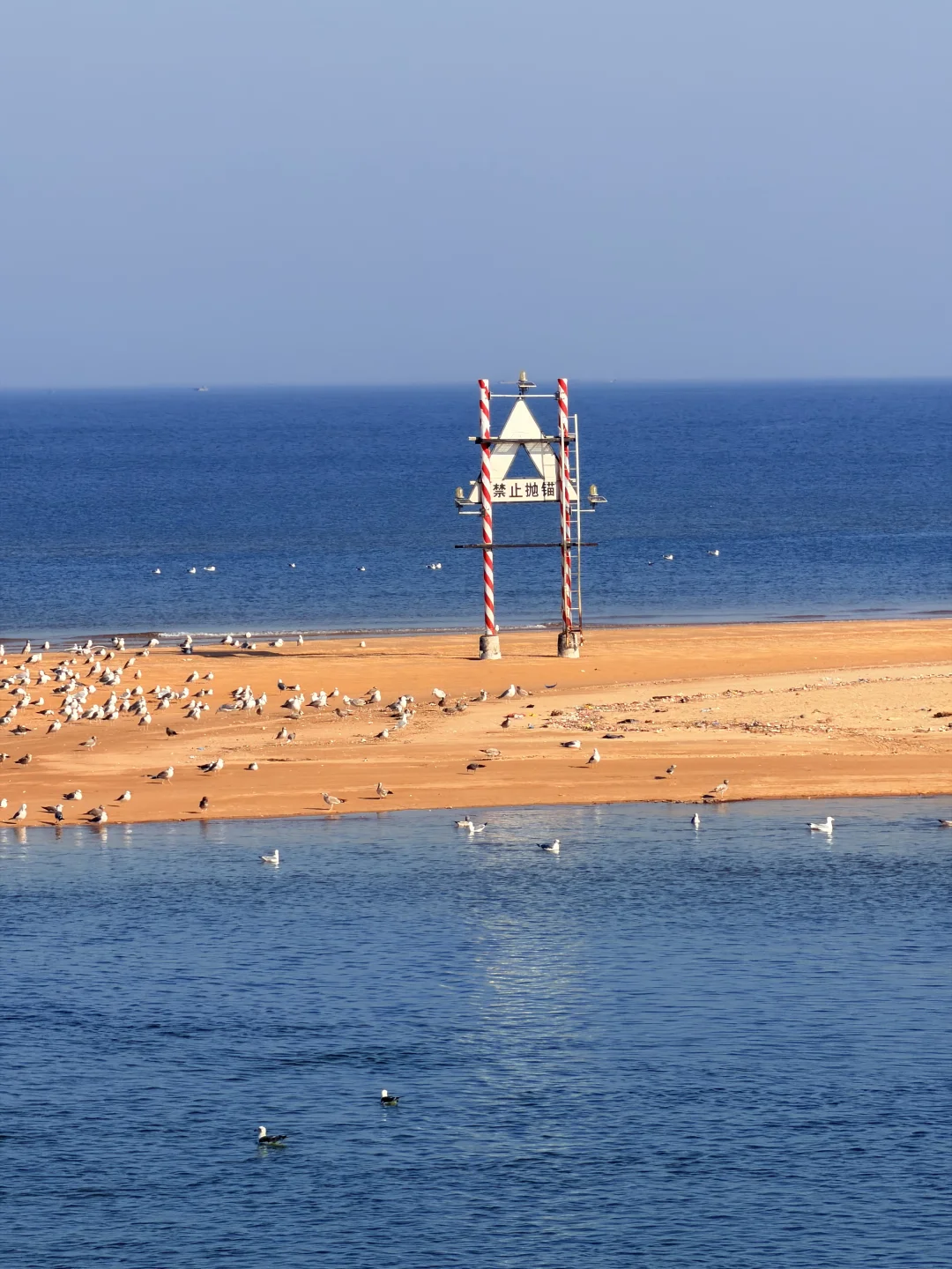 我他妈一天不看海就难受（烟台11.22）实况