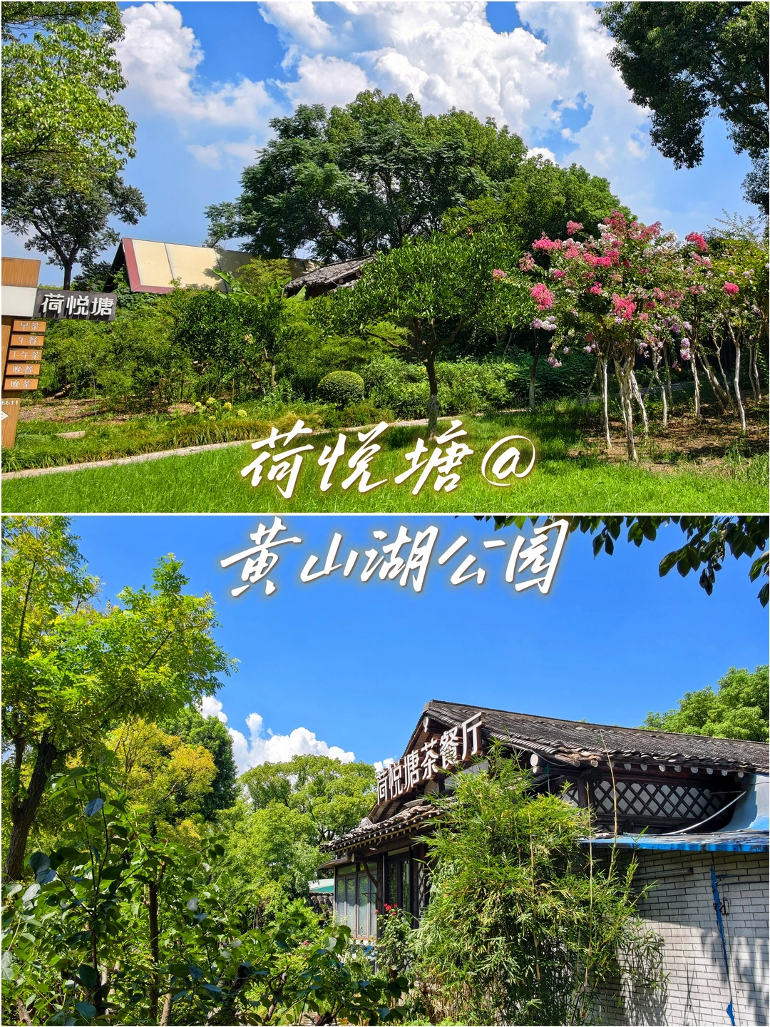 荷悦塘|夏赏荷，冬赏梅的神仙茶餐厅