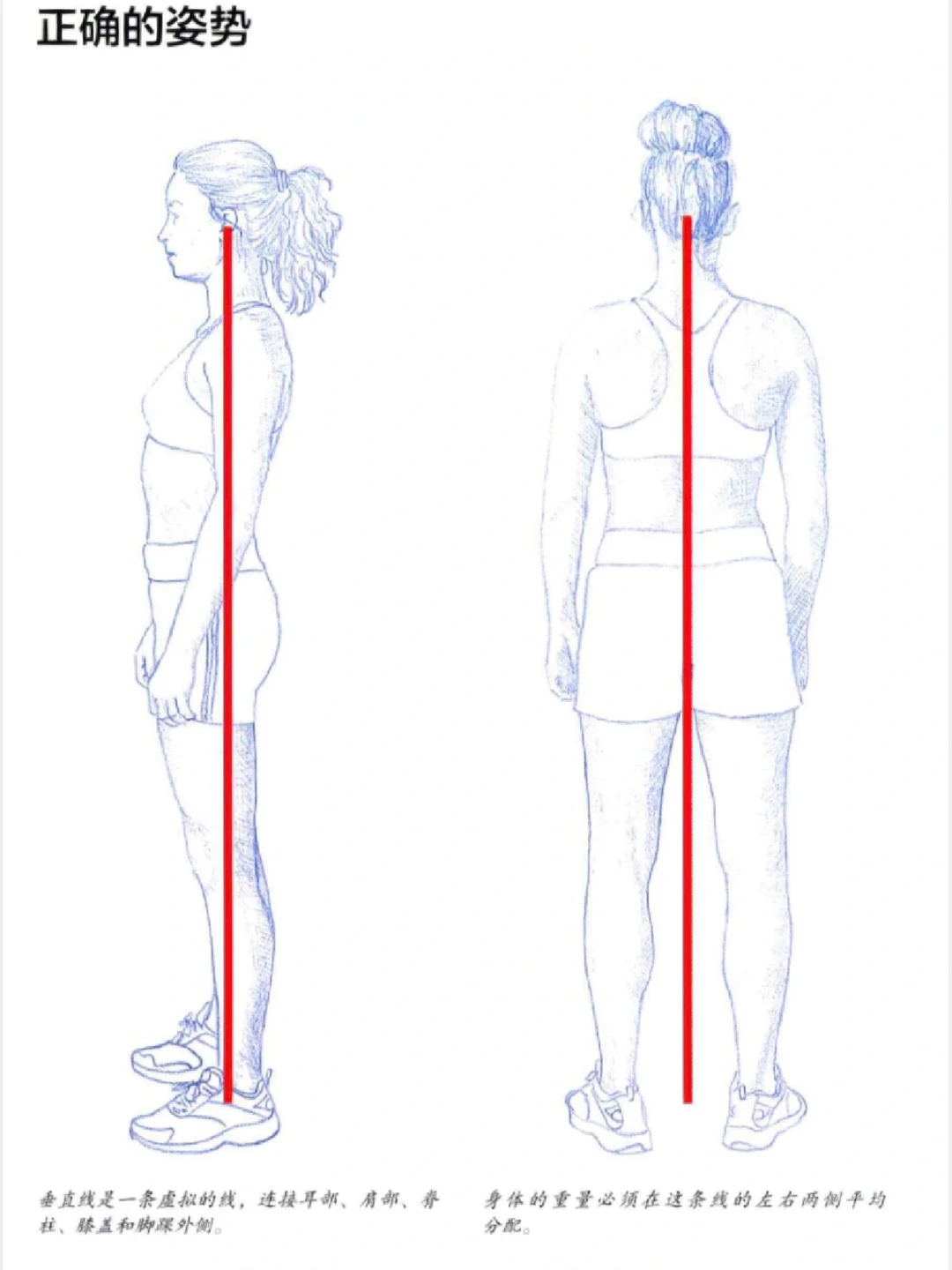正确和不良的姿势