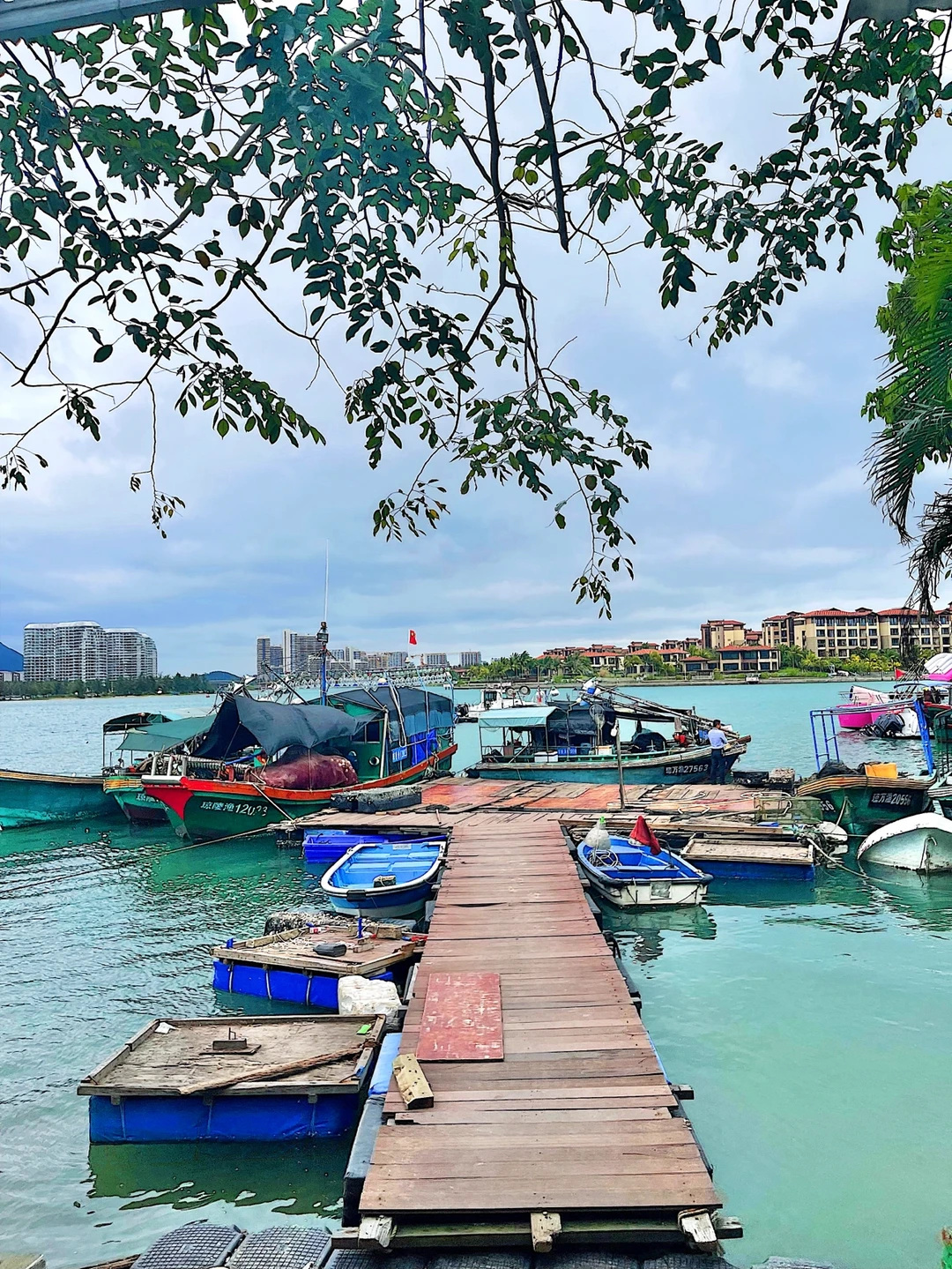 万宁这家海鲜店真自然？在渔船上现捞海鲜吃