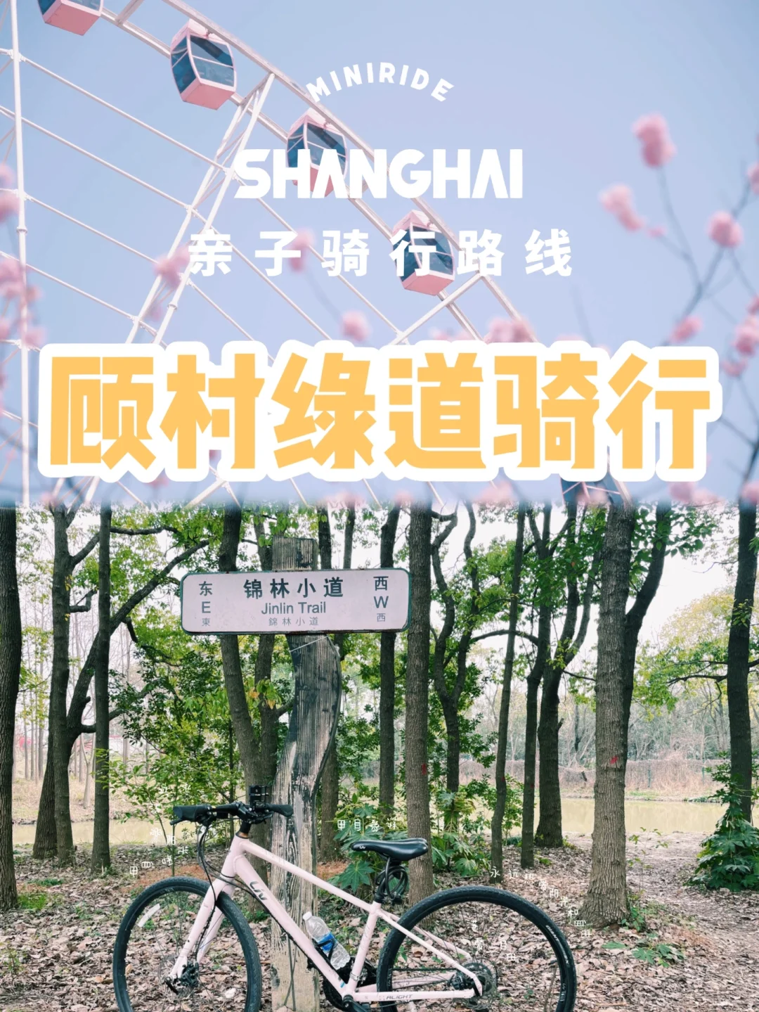 骑车去春游 |人少免费 顾村宝藏绿道🚴🌸🎡