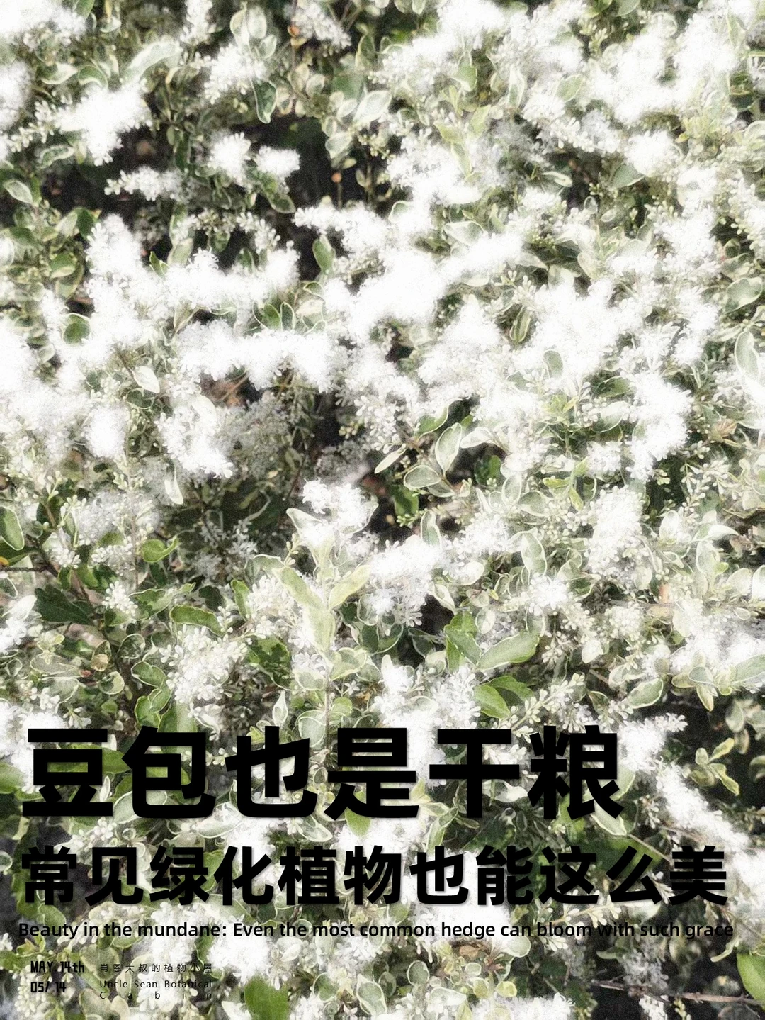 为小蜡发声，请认真看看我