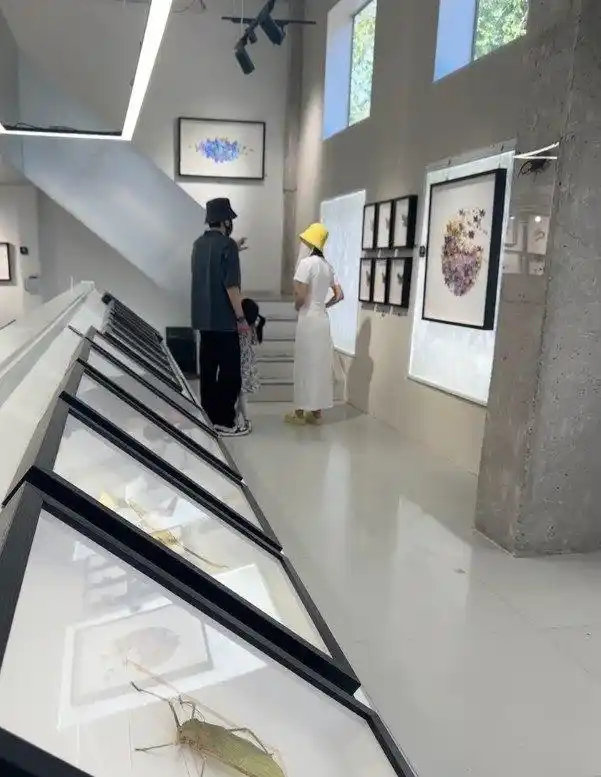 5岁女儿逛展像小尾巴全程黏着张若昀，唐艺昕拿水杯跟后面，网友笑称：这女儿奴当得也太卑微了！ ​