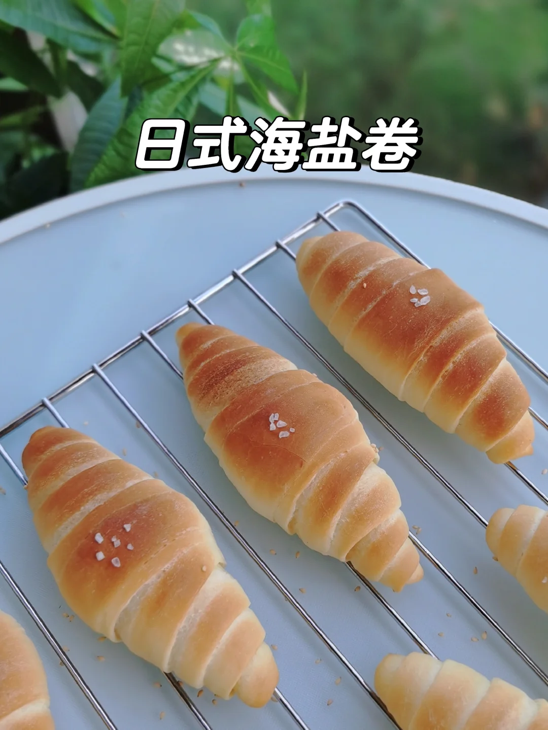 日式海盐卷，健康盐可颂，保姆级教程