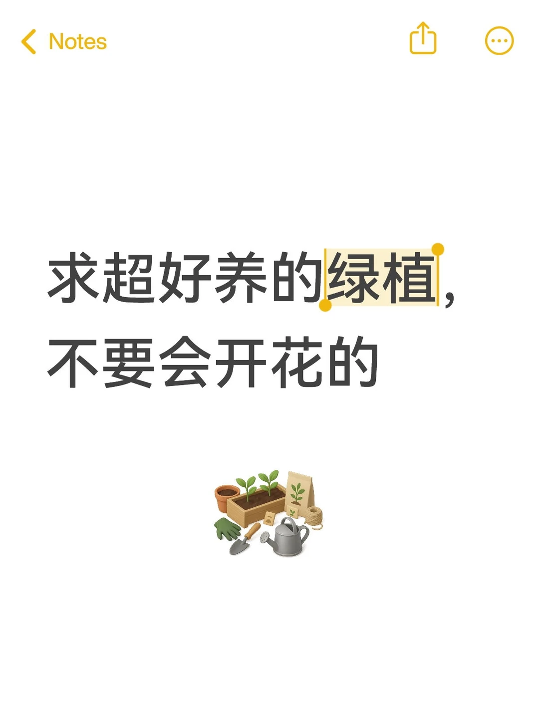 求超好养的绿植，不要会开花的