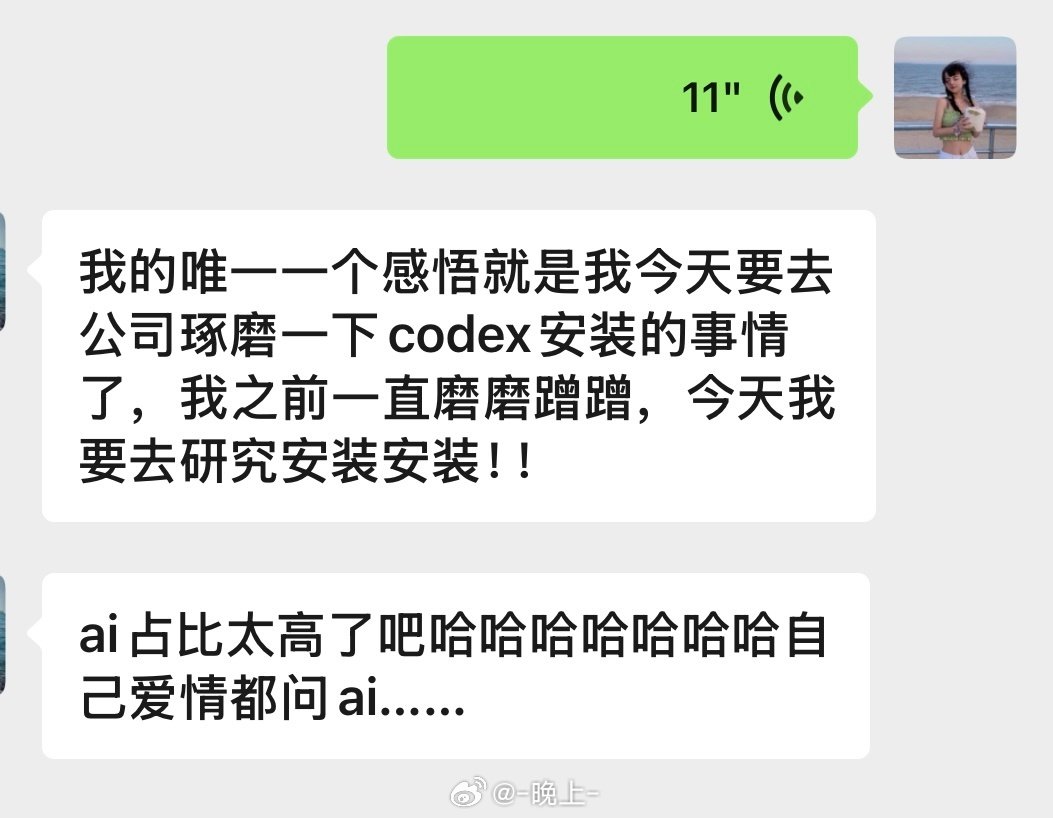 全篇作文起到了一个codex宣传作用 ​